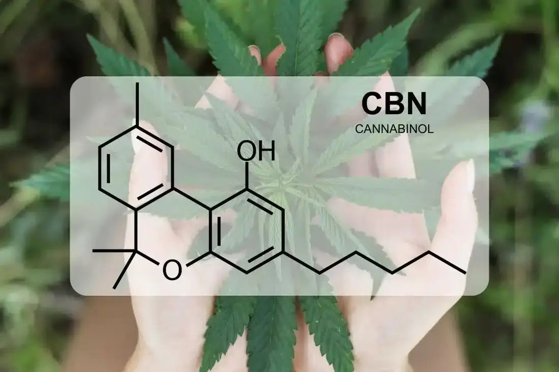CBN