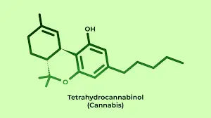 THC: En Omfattende Guide til Cannabisplantens Kendte Komponent
