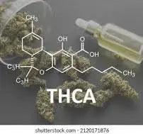 THCA i Danmark