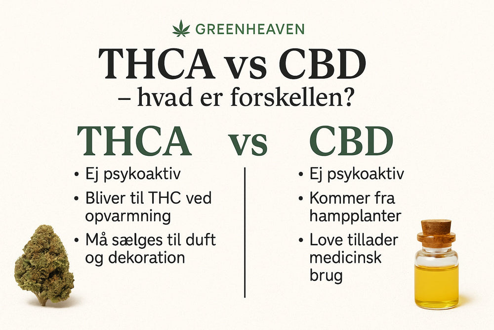THCA vs CBD – hvad er forskellen?