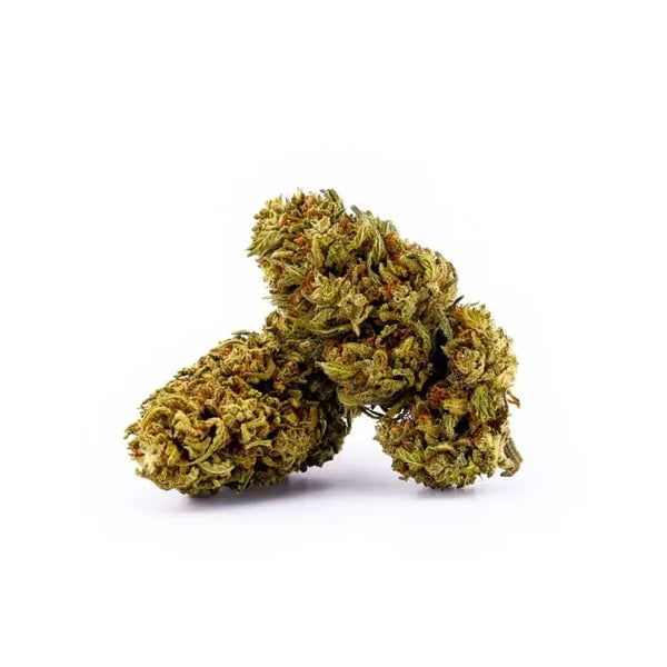 Orange Bud CBG