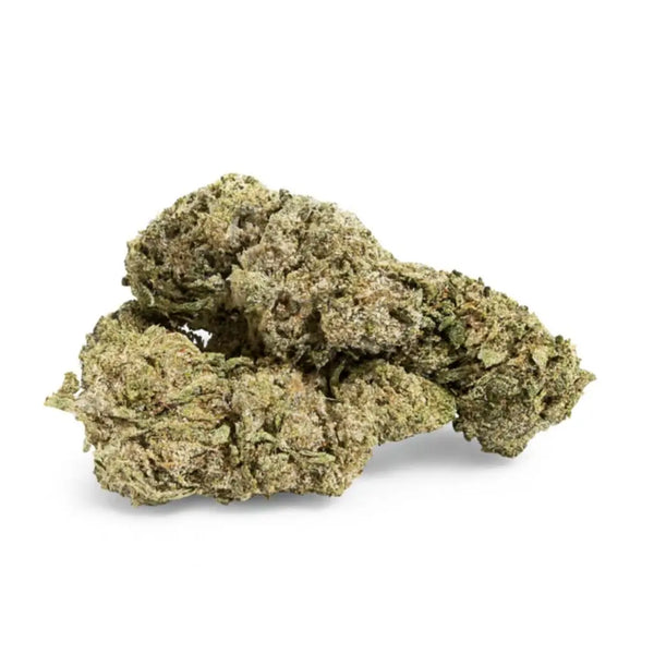 Trainwreck – THCA Blomst 24%