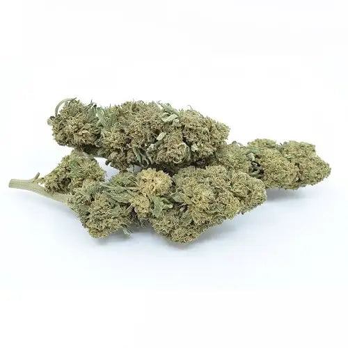 Alt i cbd topskud og olier