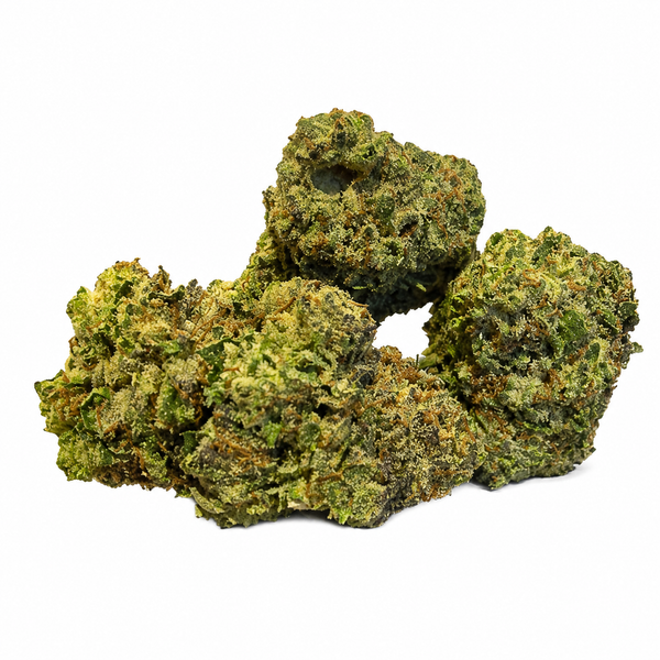 Grapes - 26% - Cali Indoor Blomst