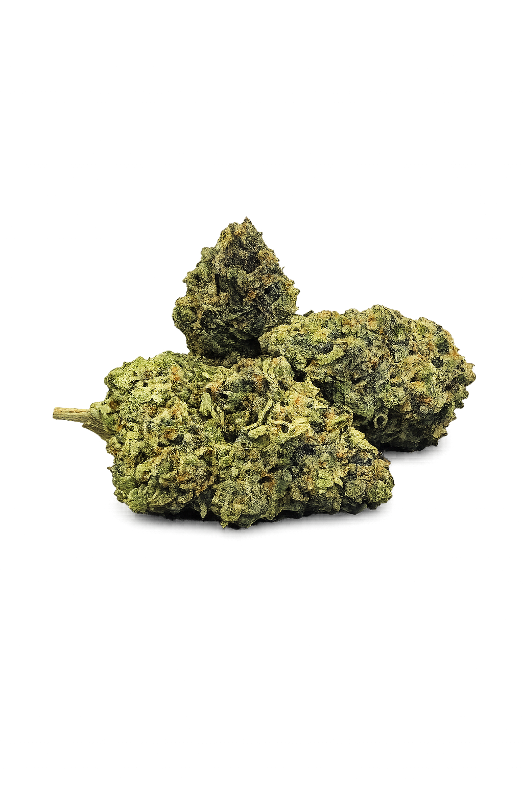 Rainbow Runtz - 27% - Cali Indoor Blomst