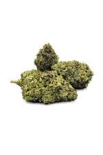 Rainbow Runtz - 27% - Cali Indoor Blomst