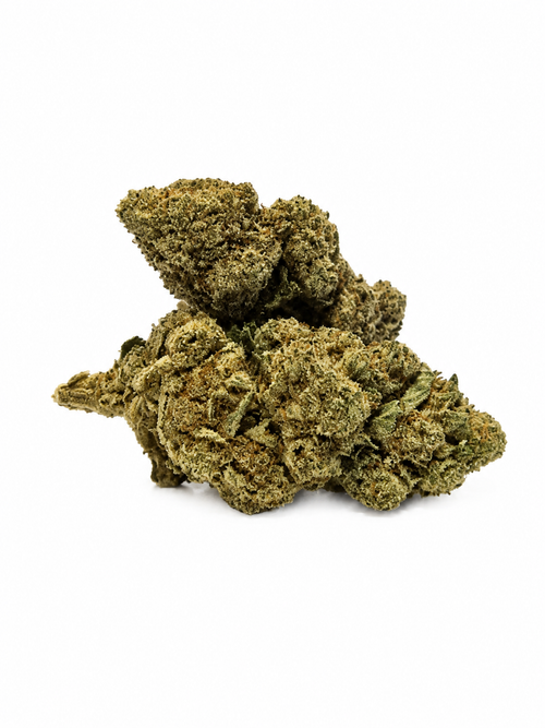 Sherlato - 25% THCA - Indoor Cali Blomst